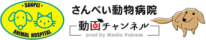 さんぺい動物病院動画チャンネル