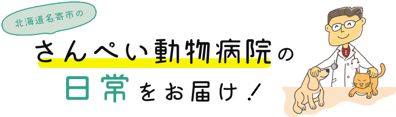 さんぺい動物病院の日常をお届け！