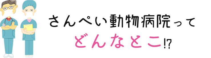 さんぺい動物病院ってどんなとこ！？