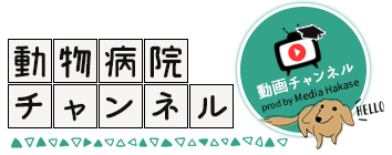 さんぺい動物病院動画チャンネル